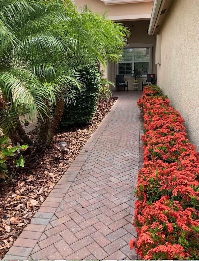 15860 Aurora Lake Cir, Wimauma, FL 33598 - view of community