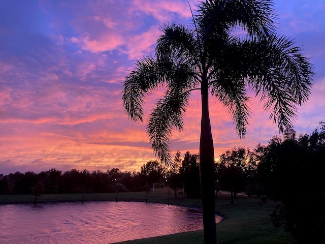 15860 Aurora Lake Cir, Wimauma, FL 33598 - water view