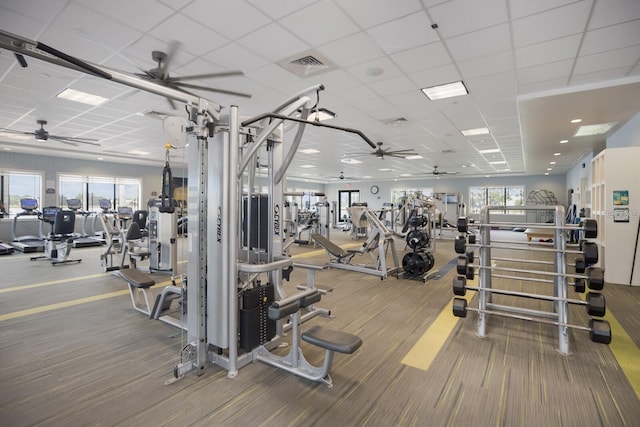 15860 Aurora Lake Cir, Wimauma, FL 33598 - exercise room with ceiling fan, carpet flooring, and a paneled ceiling
