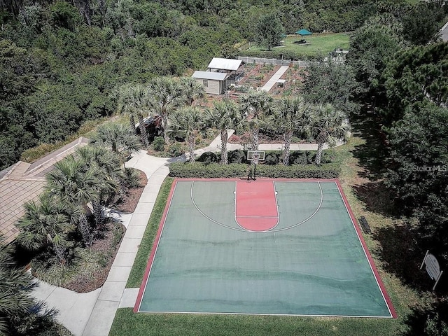 15860 Aurora Lake Cir, Wimauma, FL 33598 - view of basketball court with community basketball court and a forest view