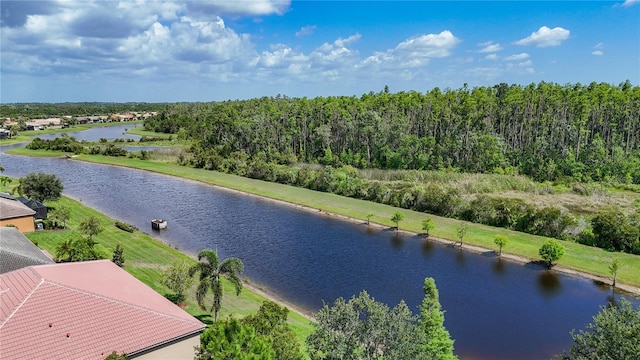15860 Aurora Lake Cir, Wimauma, FL 33598 - water view