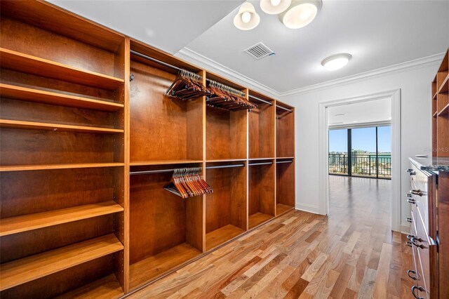 7600 Bayshore Dr Unit 1201A, Treasure Island, FL 33706 - spacious closet featuring wood finished floors