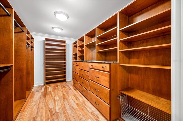7600 Bayshore Dr Unit 1201A, Treasure Island, FL 33706 - walk in closet featuring light wood-style floors