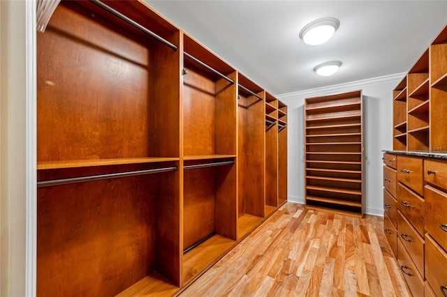 7600 Bayshore Dr Unit 1201A, Treasure Island, FL 33706 - spacious closet with light wood-style floors