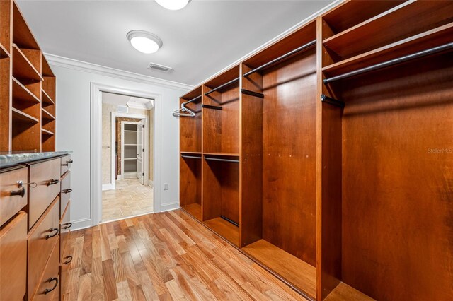 7600 Bayshore Dr Unit 1201A, Treasure Island, FL 33706 - walk in closet featuring light wood-style floors