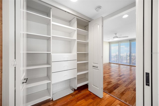 7600 Bayshore Dr Unit 1201A, Treasure Island, FL 33706 - view of closet