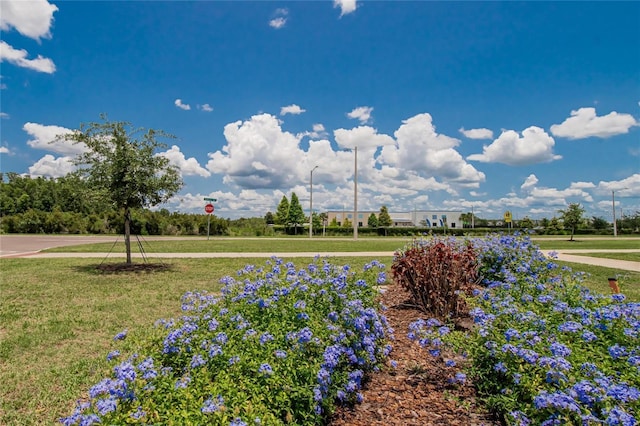 1398 Crescent Hoop Way, Wesley Chapel, FL 33543 - view of grassy yard
