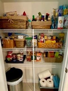 1398 Crescent Hoop Way, Wesley Chapel, FL 33543 - view of pantry