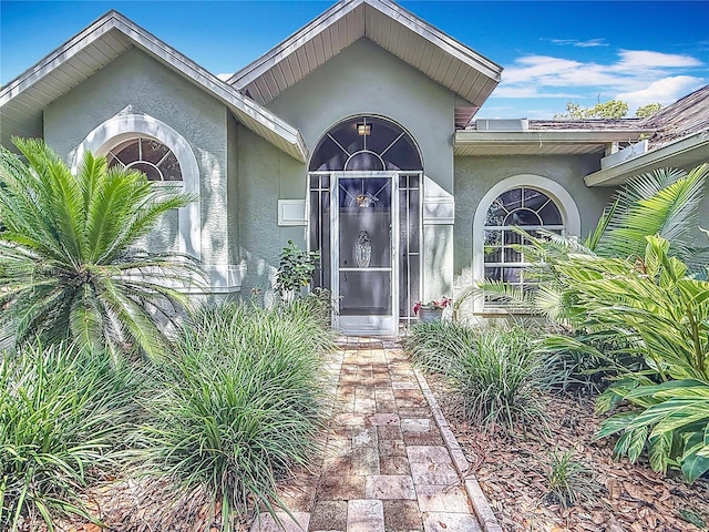 2973 Spring Oak Ct, Palm Harbor, FL 34684 - entrance to property with stucco siding