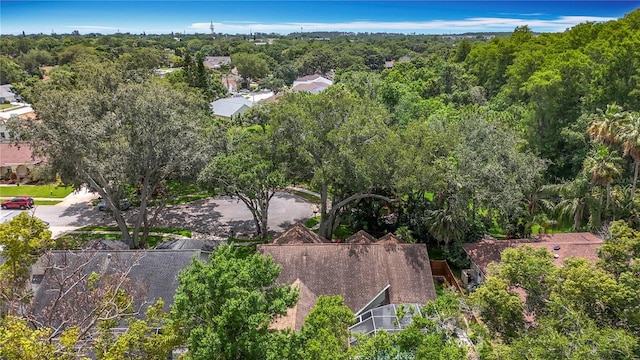 2973 Spring Oak Ct, Palm Harbor, FL 34684 - aerial view