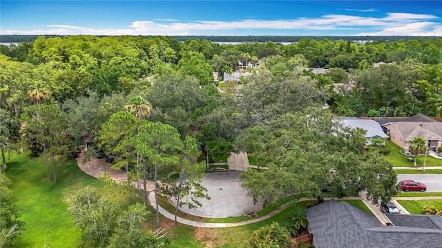 2973 Spring Oak Ct, Palm Harbor, FL 34684 - bird's eye view of a forest