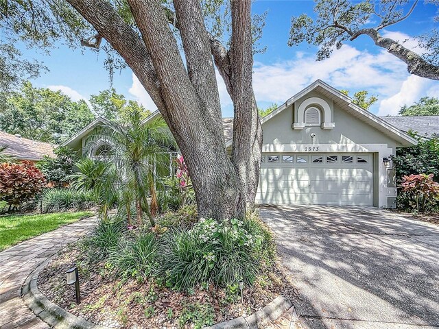 2973 Spring Oak Ct, Palm Harbor, FL 34684 - obstructed view of property with stucco siding, concrete driveway, and an attached garage