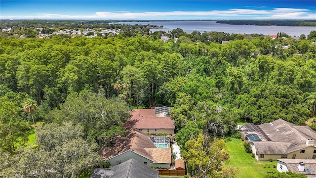 2973 Spring Oak Ct, Palm Harbor, FL 34684 - bird's eye view of a forest and a large body of water