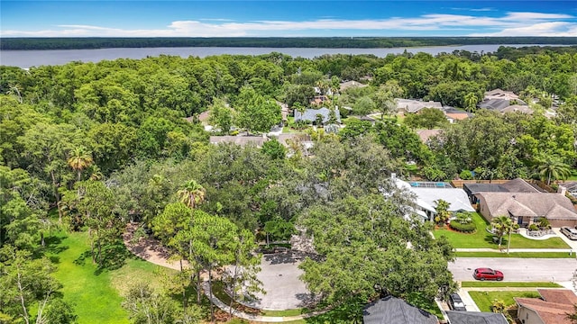 2973 Spring Oak Ct, Palm Harbor, FL 34684 - aerial view of residential area featuring a nearby body of water and a heavily wooded area