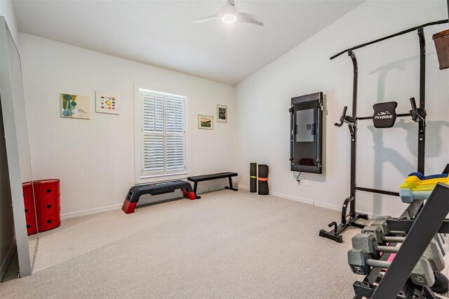 4797 Stonebriar Dr, Oldsmar, FL 34677 - photo 27