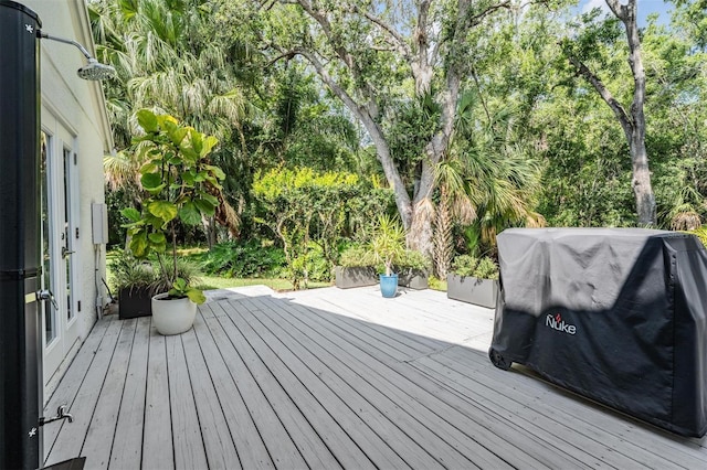 4797 Stonebriar Dr, Oldsmar, FL 34677 - photo 36