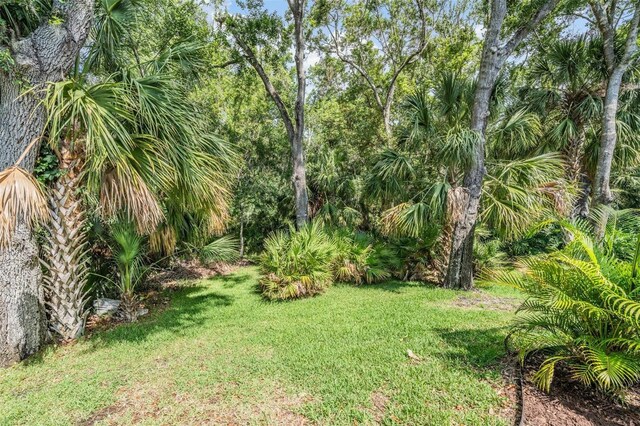 4797 Stonebriar Dr, Oldsmar, FL 34677 - photo 38