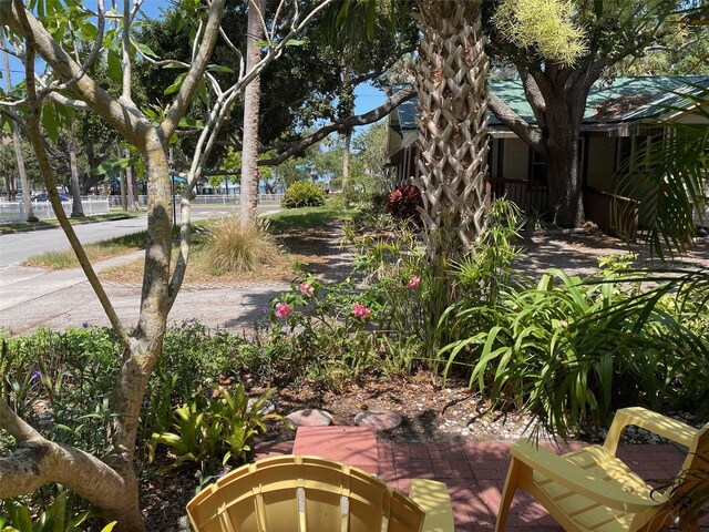 214 Scotland St, Dunedin, FL 34698 - photo 9