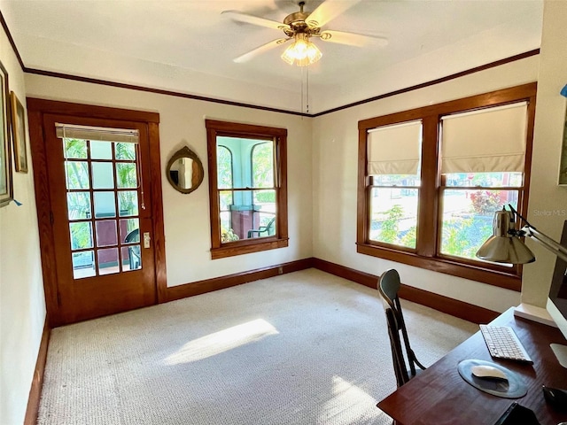 214 Scotland St, Dunedin, FL 34698 - photo 39
