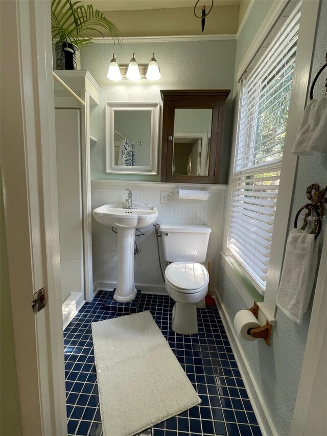 214 Scotland St, Dunedin, FL 34698 - photo 37
