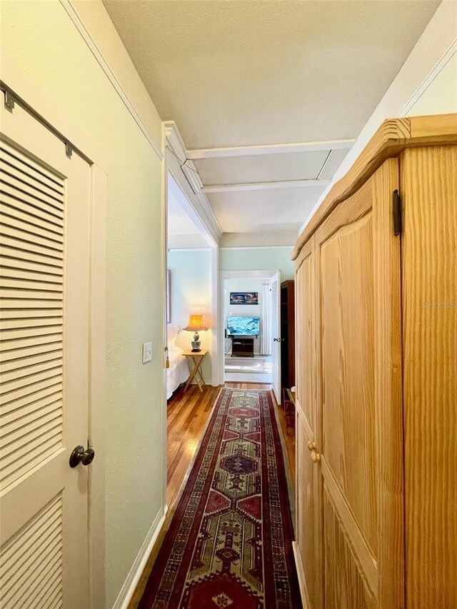 214 Scotland St, Dunedin, FL 34698 - photo 35