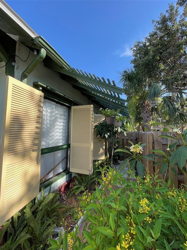 214 Scotland St, Dunedin, FL 34698 - photo 47