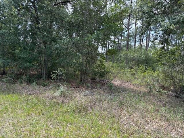 213 Plumosa Dr, Indian Lake Estates, FL 33855 - photo 1