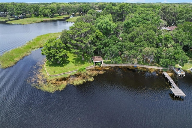 1226 S Telephone Point Rd, Inverness, FL 34450 - aerial view of property's location with a large body of water and a forest