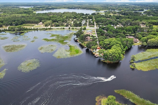 1226 S Telephone Point Rd, Inverness, FL 34450 - aerial view of a nearby body of water and a heavily wooded area