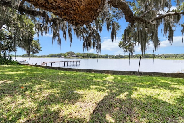 1226 S Telephone Point Rd, Inverness, FL 34450 - dock with a yard and a water view