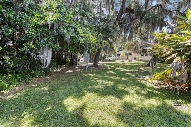 1226 S Telephone Point Rd, Inverness, FL 34450 - view of green lawn