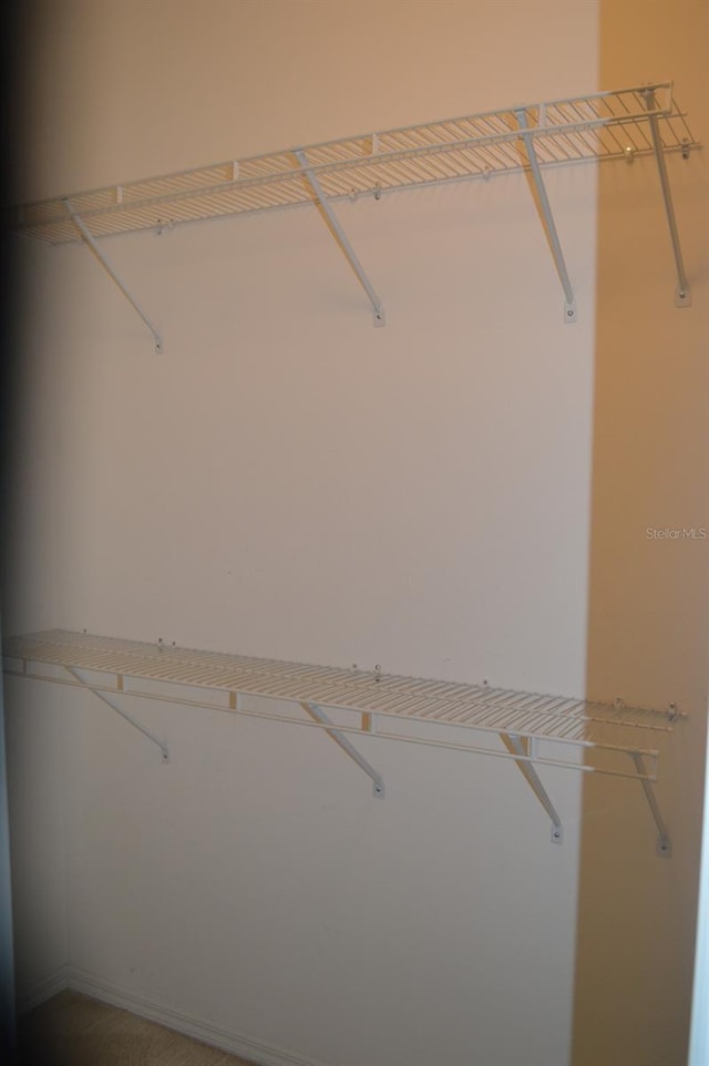 1922 Sassafras Dr, Wesley Chapel, FL 33543 - view of spacious closet