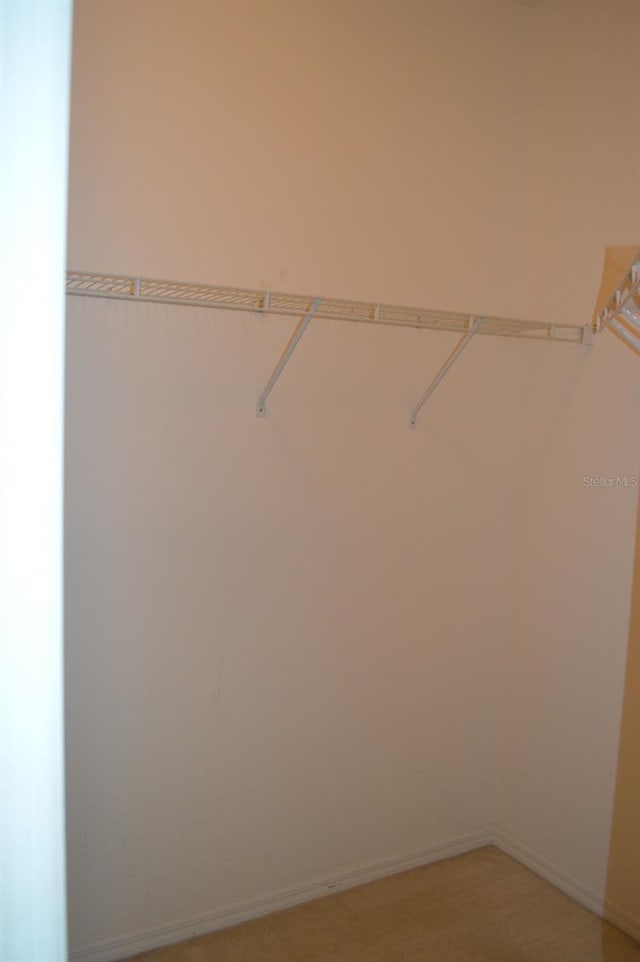 1922 Sassafras Dr, Wesley Chapel, FL 33543 - view of spacious closet