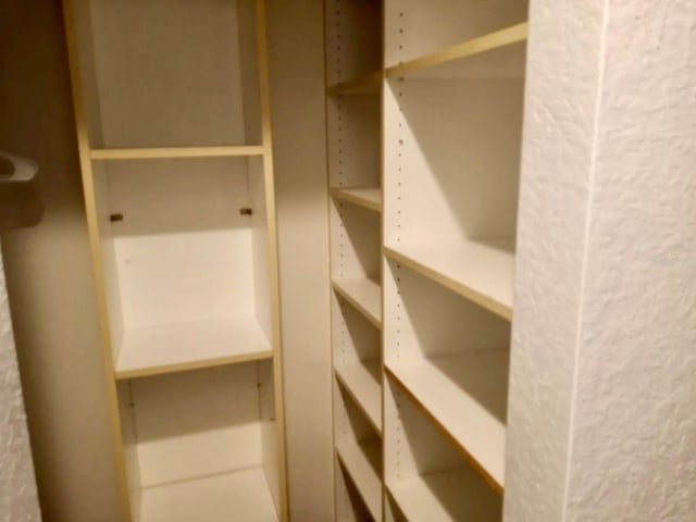 21103 Patio View Ct Unit 3302, Lutz, FL 33558 - view of closet