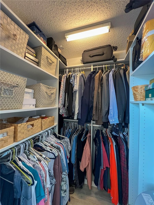 659 Garland Cir, Indian Rocks Beach, FL 33785 - view of walk in closet