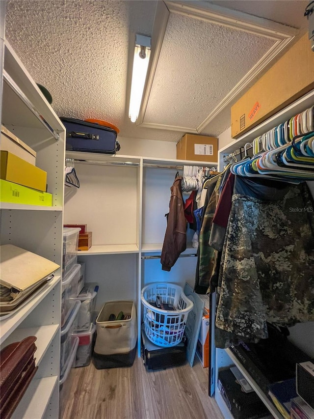 659 Garland Cir, Indian Rocks Beach, FL 33785 - view of storage room