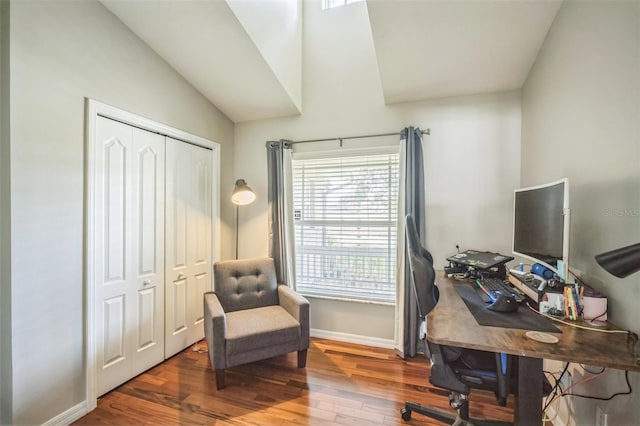 2507 Dewberry St, Valrico, FL 33596 - office space with wood finished floors, lofted ceiling, and baseboards