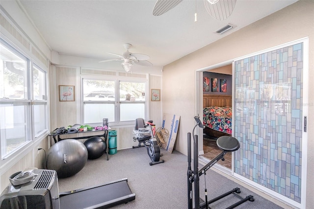 2507 Dewberry St, Valrico, FL 33596 - exercise area with ceiling fan, plenty of natural light, and carpet floors