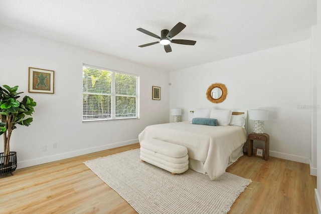 970 Ridgewood Ter, Tarpon Springs, FL 34689 - bedroom featuring light wood finished floors, baseboards, and ceiling fan