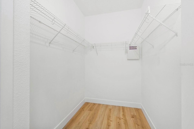 970 Ridgewood Ter, Tarpon Springs, FL 34689 - spacious closet with light wood-style flooring