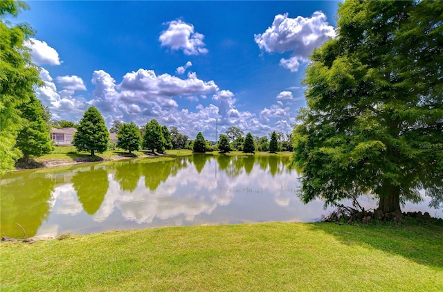 6519 Twin Bridges Dr, Zephyrhills, FL 33541 - water view