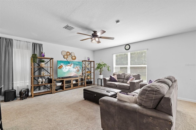 13686 Whiskey Daisy Dr, Dade City, FL 33525 - photo 10