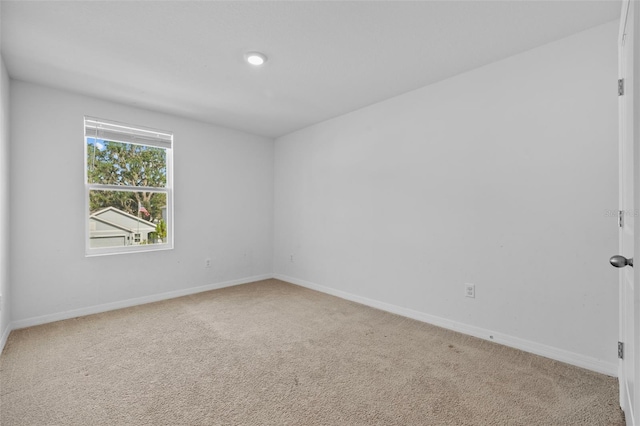 13686 Whiskey Daisy Dr, Dade City, FL 33525 - photo 19