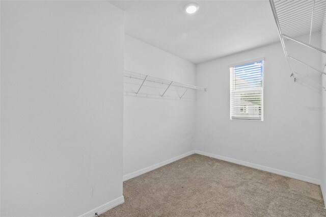 13686 Whiskey Daisy Dr, Dade City, FL 33525 - photo 28
