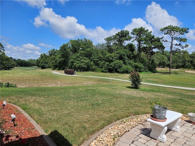 4755 N El Camino Dr, Beverly Hills, FL 34465 - view of green lawn featuring view of scattered trees