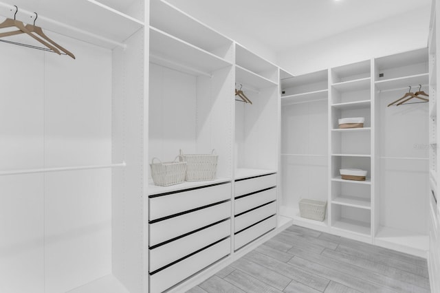 3616 W Anderson Ave, Tampa, FL 33611 - walk in closet with light wood-style flooring