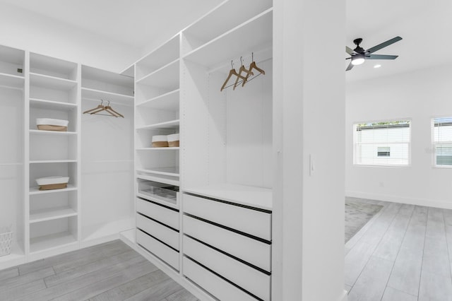 3616 W Anderson Ave, Tampa, FL 33611 - spacious closet with light wood-style flooring and a ceiling fan