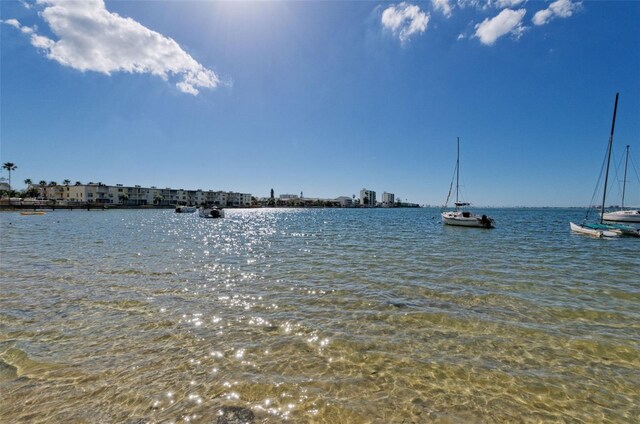 2700 Bayshore Blvd Unit 5210, Dunedin, FL 34698 - photo 39