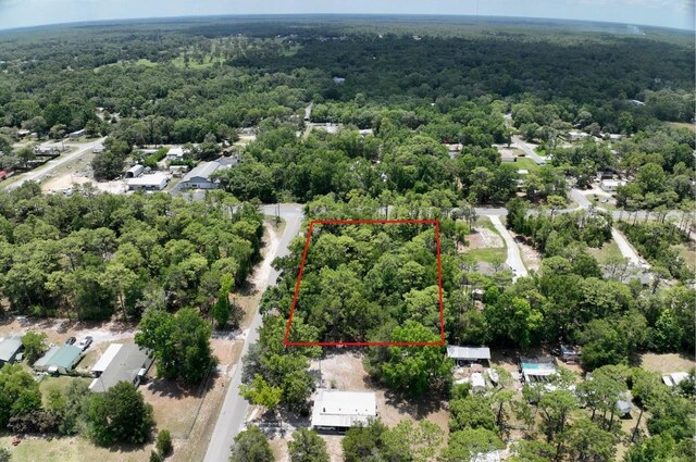 2994 S Pine Ridge Ave, Homosassa, FL 34448 - photo 1