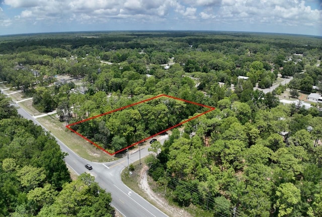 2994 S Pine Ridge Ave, Homosassa, FL 34448 - photo 2
